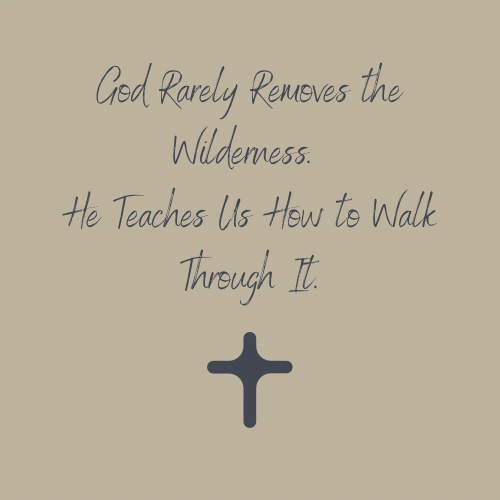 God Rarely Removes the Wilderness. He Teaches Us How to Walk Through It.